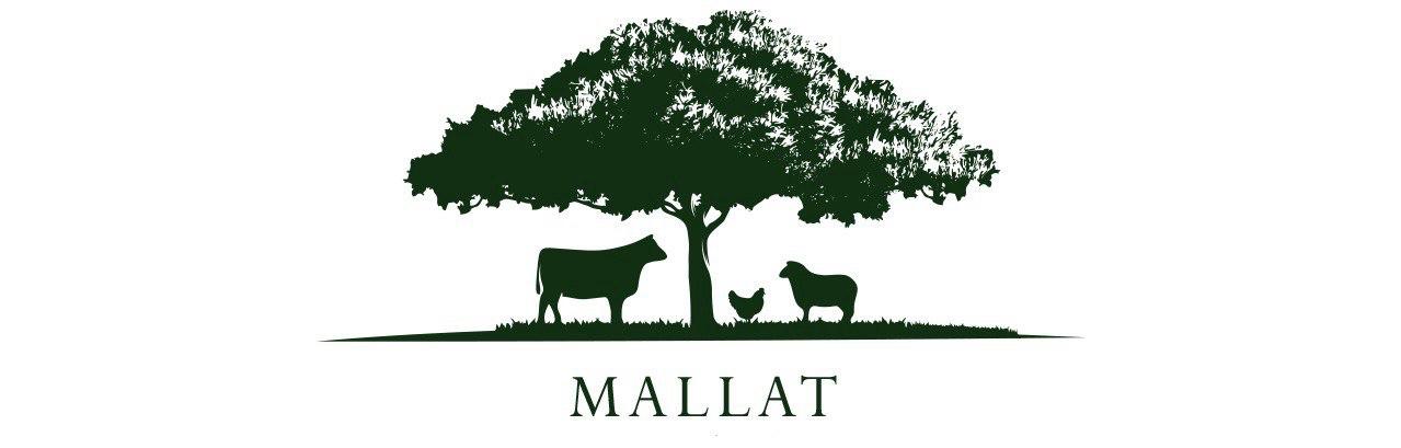 MALLAT Logo